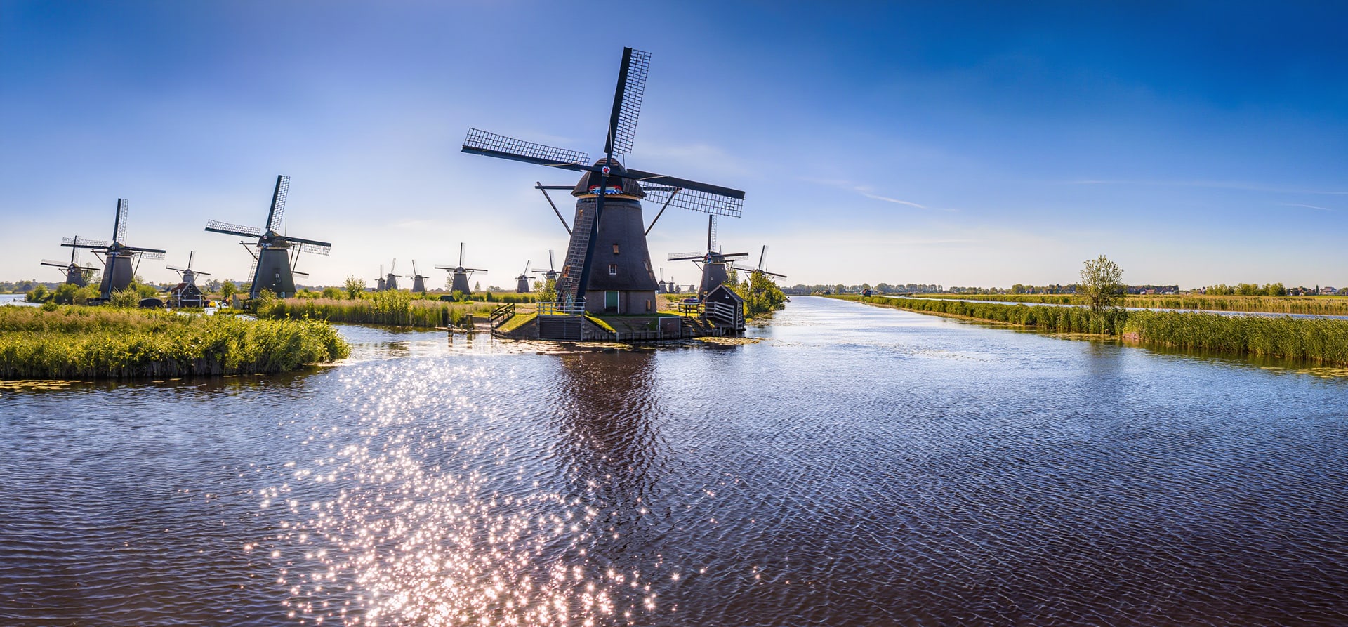 Windmills, Tulips & Belgian Delights with Bruges