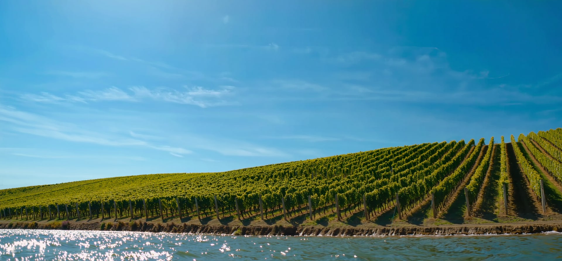 Vineyards & Palaces Along The Danube With Prague (2027)