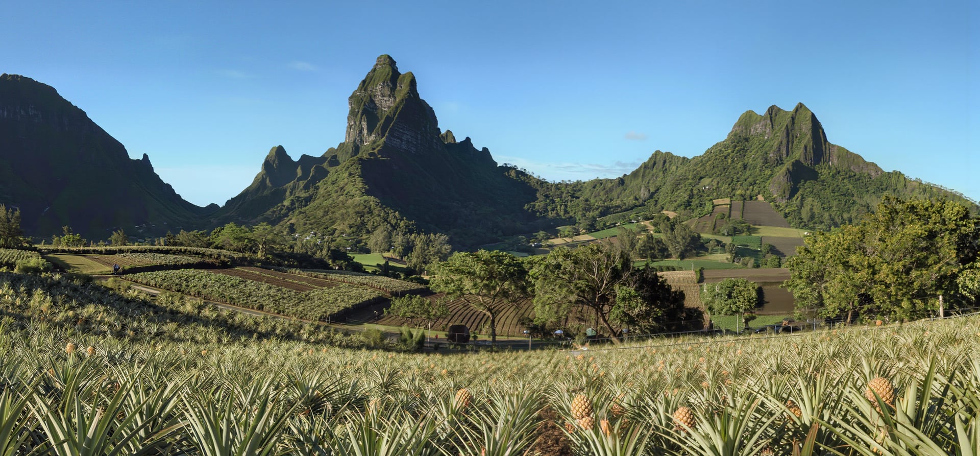 18 Night Tahitian Treasures Cruise