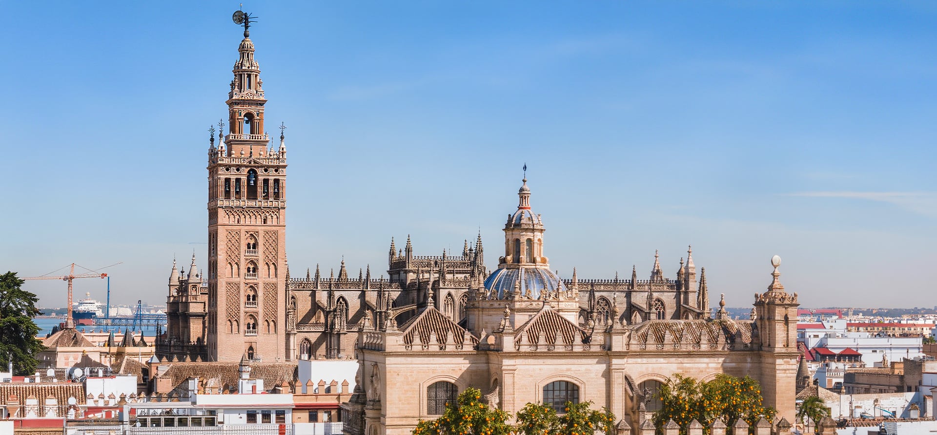Iberian & Tropical Discovery