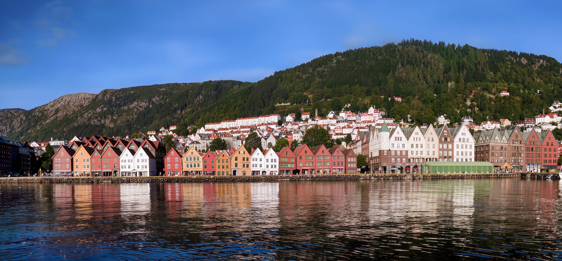Scandinavian Serenade