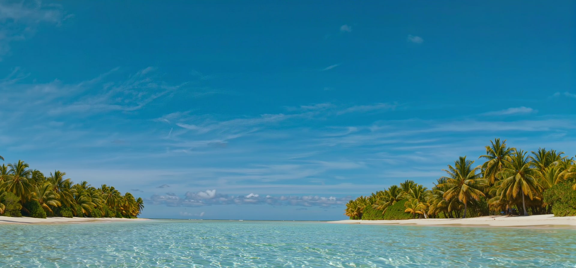Wild Labrador Coast, Caribbean - Tour R18