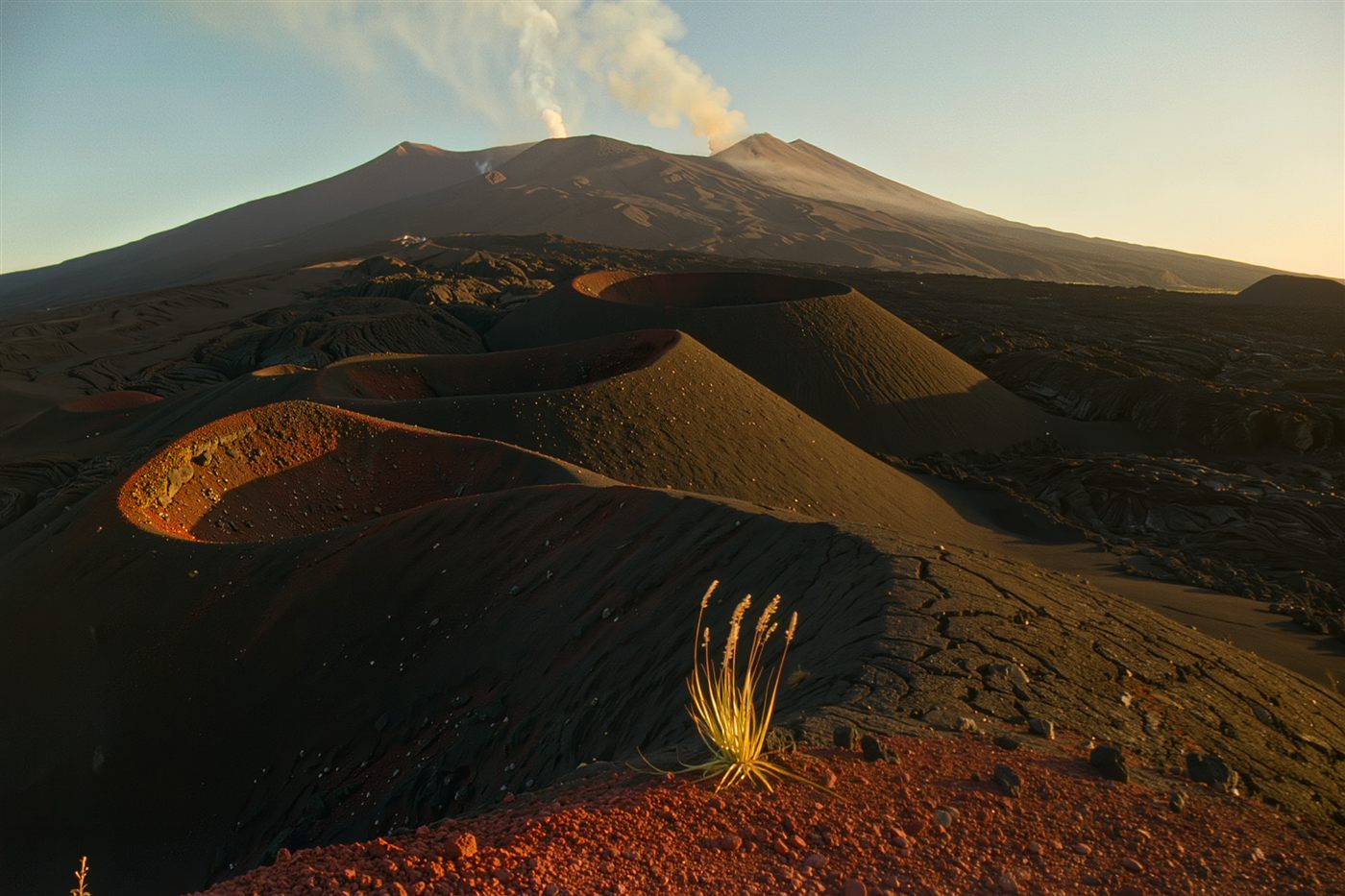 The lava fields of Etna