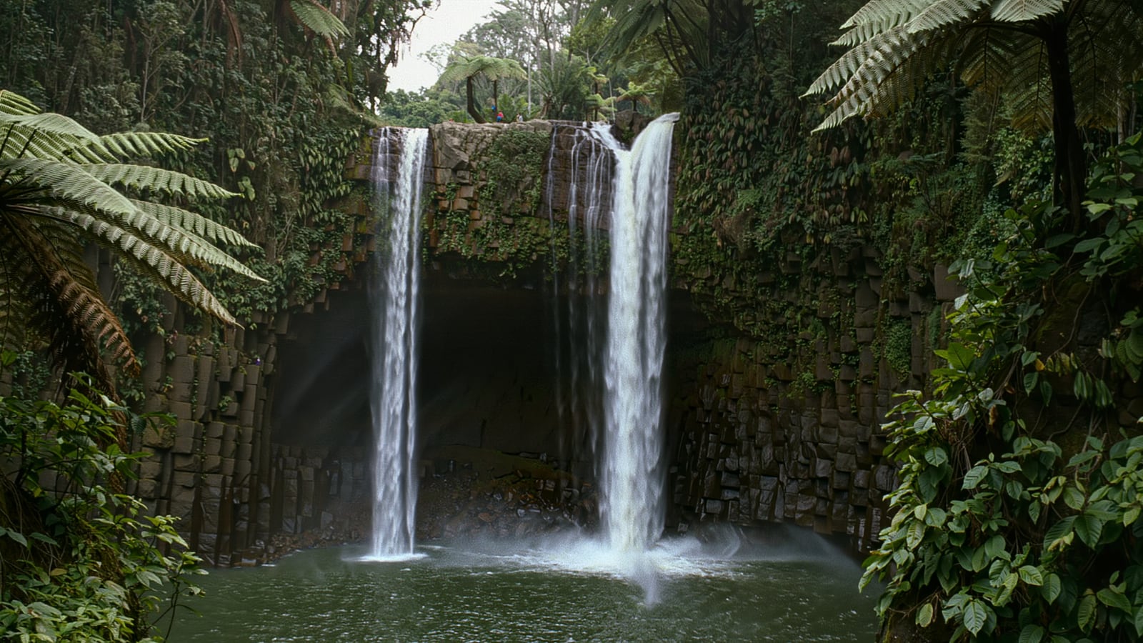 A rainforest waterfall on Kauai