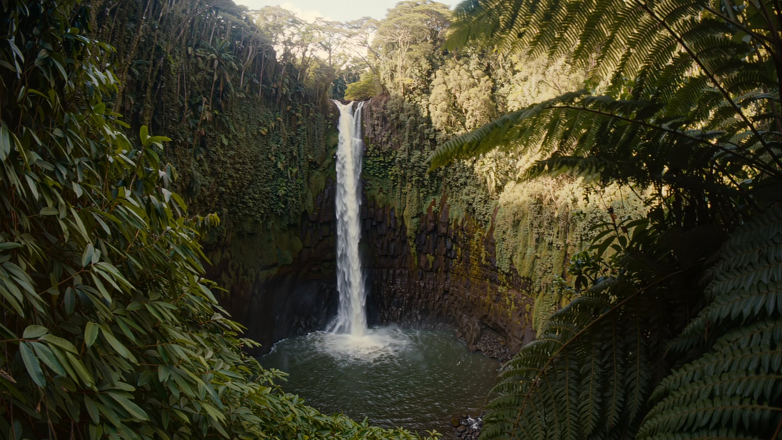 A tall waterfall in rainforest on the Road to Hana, Maui