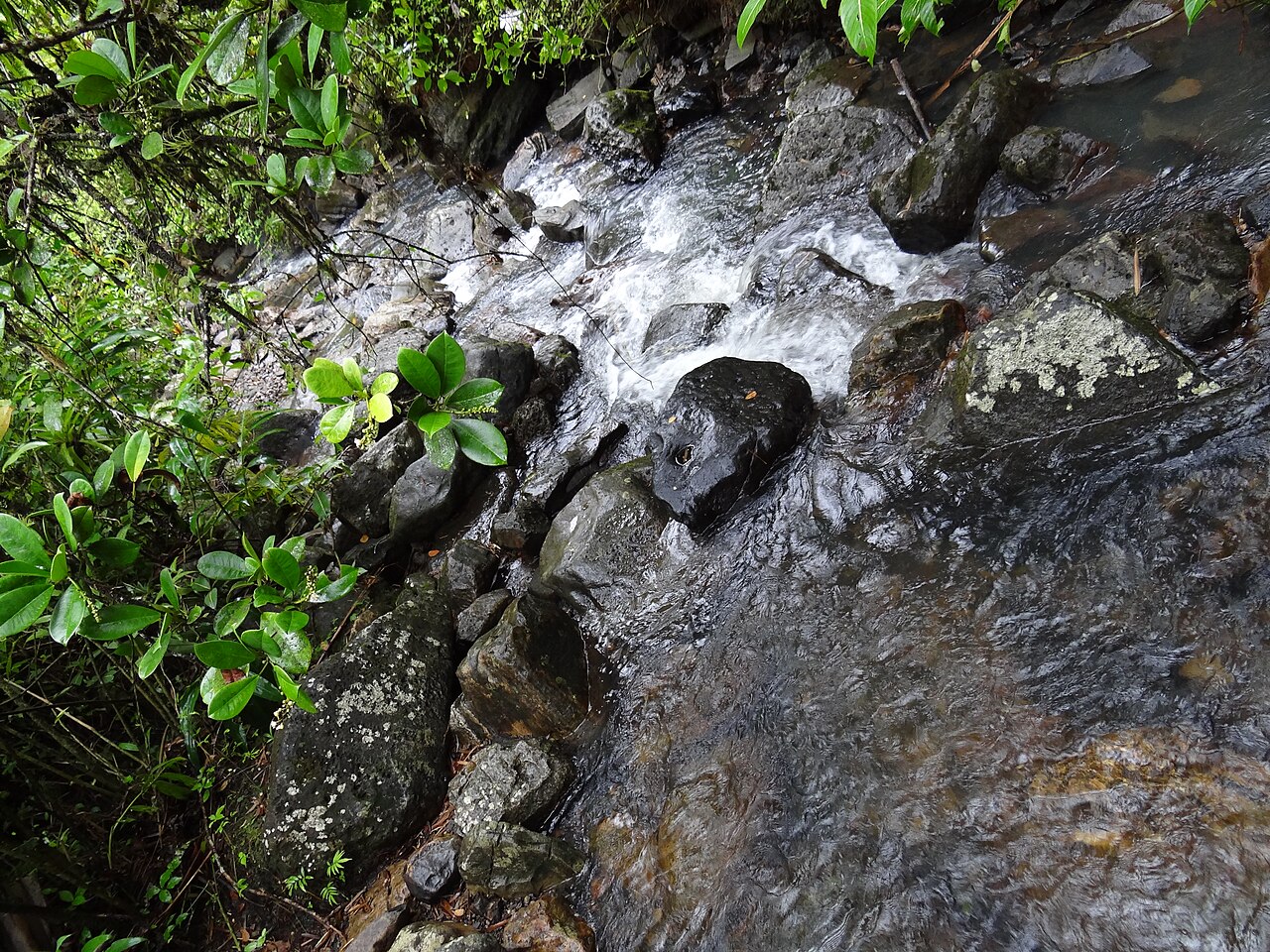 La Mina Falls in El Yunque National Forest